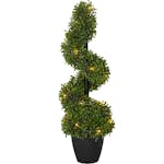 Dekorationsträd Star Trading Buxbom 65 cm 20L