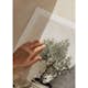 Poster Gallerix Olive Tree Mediterranean No2