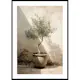 Poster Gallerix Olive Tree Mediterranean No1