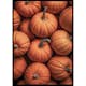 Poster Gallerix Pumpkins
