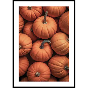 Poster Gallerix Pumpkins