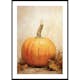 Poster Gallerix Autumn Pumpkins No1