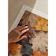 Poster Gallerix Multicolored Autumn Leaves