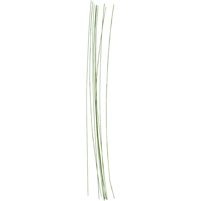 Blomstjälkar Creativ Company Grön 30 cm