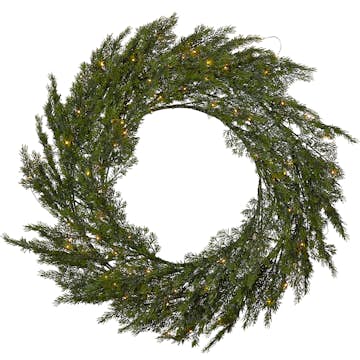 Krans Star Trading Thuja