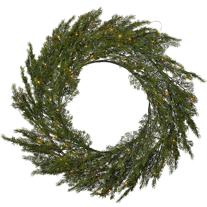 Krans Star Trading Thuja