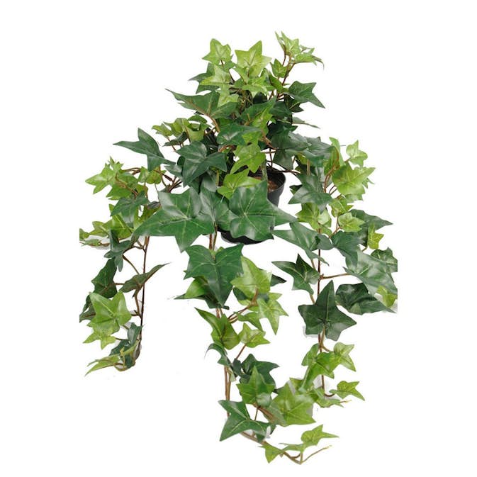 Konstväxt Fröken Fräken Murgröna Grön 60 cm