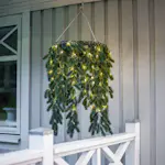 Krans Star Trading Erna Hängande med Dew Drop LED