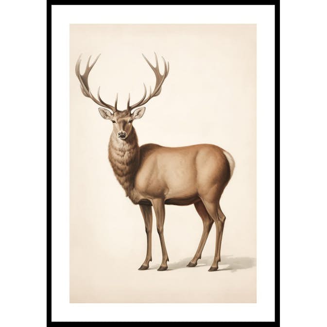 Poster Gallerix Brown Deer