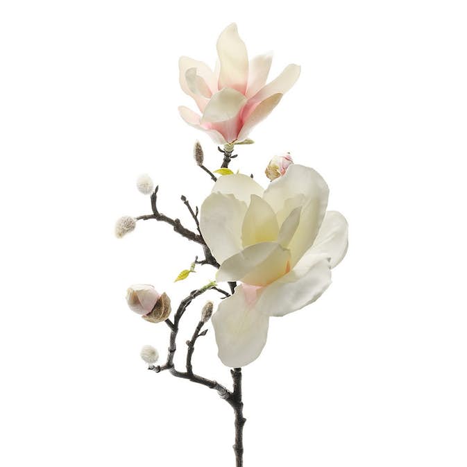 Konstväxt Fröken Fräken Magnolia 60 cm