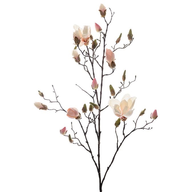 Konstväxt Fröken Fräken Magnolia 110 cm