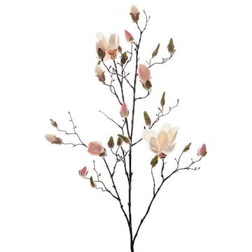 Konstväxt Fröken Fräken Magnolia 110 cm