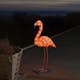 Dekorationsbelysning Gnosjö Konstsmide Flamingo LED