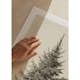 Poster Gallerix Vintage Fir Tree