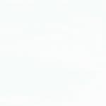 Påslakanset Polar Night Bomull Enkelsäng