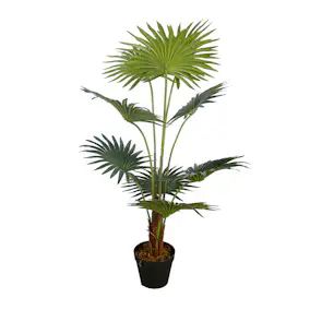Konstväxt Lykke Fan Palm