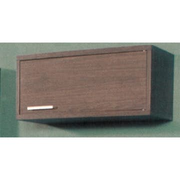 Väggskåp RGE Svea m. Trädörr