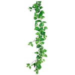 Konstväxt Fröken Fräken Gullranka Grön Girlang