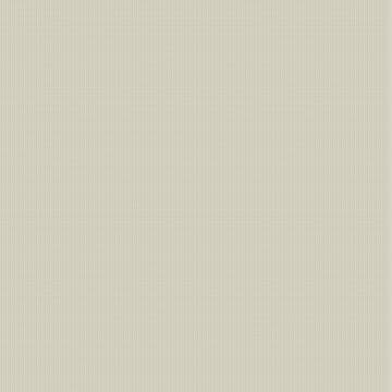 Tapet Coordonné Core 6600061
