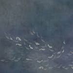 Tapet Coordonné Core 6600082