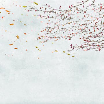 Tapet Coordonné Core 6600087