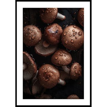 Poster Gallerix Mushrooms No2