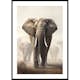 Poster Gallerix Elephant Matriarch