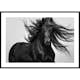 Poster Gallerix Black Horse Show No2