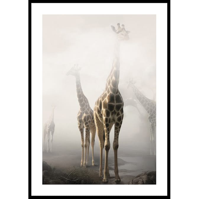 Poster Gallerix Giraffes Sky High