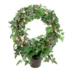 Konstväxt Fröken Fräken Murgröna Grön Uppbunden Rund