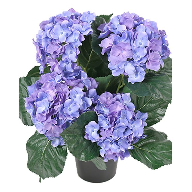 Konstväxt Fröken Fräken Hortensia 37 cm