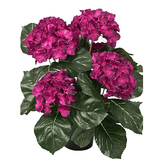 Konstväxt Fröken Fräken Hortensia 37 cm