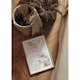 Poster Gallerix White Feathers