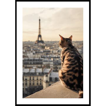 Poster Gallerix Cat In Paris