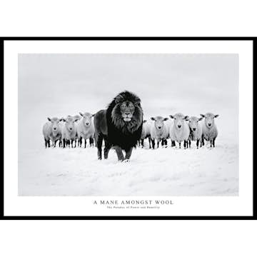 Poster Gallerix A Mane Amongst Wool