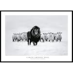 Poster Gallerix A Mane Amongst Wool