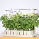 Hydroponisk Odling RobotGarden Odlingslådor Med Växtlampa & Startkit för Hemmaodling