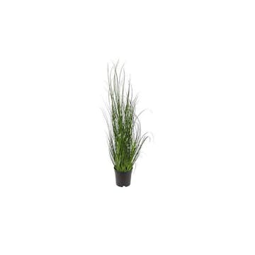 Konstväxt Fröken Fräken Gräs 70 cm Grön