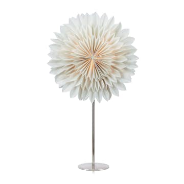 Adventsstjärna Markslöjd Solina