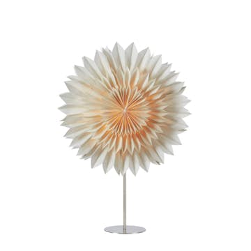 Adventsstjärna Markslöjd Solina på fot