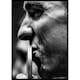 Poster Gallerix Michael Phelps Gold 2016