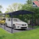 Dubbel Carport Canopia by Palram Arcadia I Metall 3,6x8,5 m