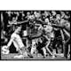 Poster Gallerix Zlatan Ibrahimovic 2015