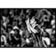 Poster Gallerix Linoel Messi FC Barcelona 2013 No1