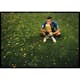 Poster Gallerix Kylian Mbappé World Cup 2018