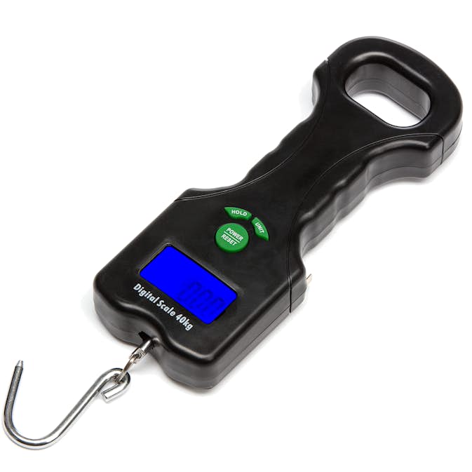 Digital fiskevåg Briv