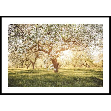 Poster Gallerix Blossom Meadow