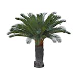 Konstväxt Fröken Fräken Cycas Palm