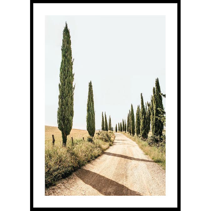 Poster Gallerix Tuscan Cypress Lane