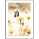 Poster Gallerix Butterfly Bliss